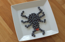Blackberry fruit spider